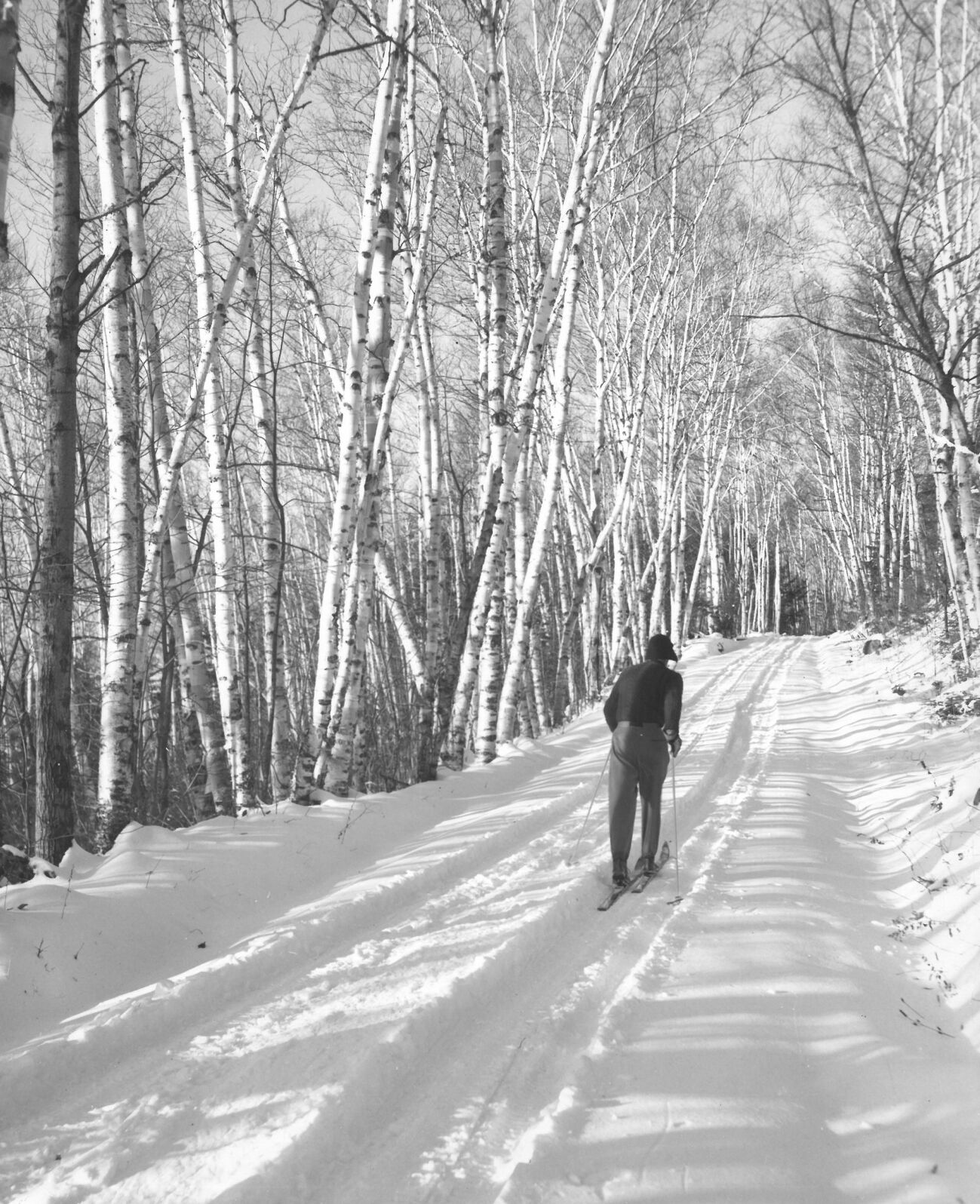 Cross country skiing